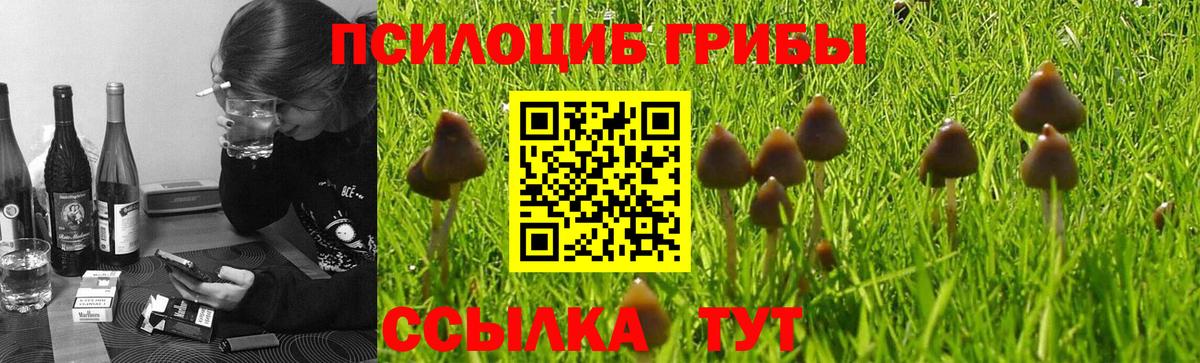 Анапа  Галлюциногенные грибы мицелий  Вход с VPN  Галлюциногенные грибы Magic Shrooms 