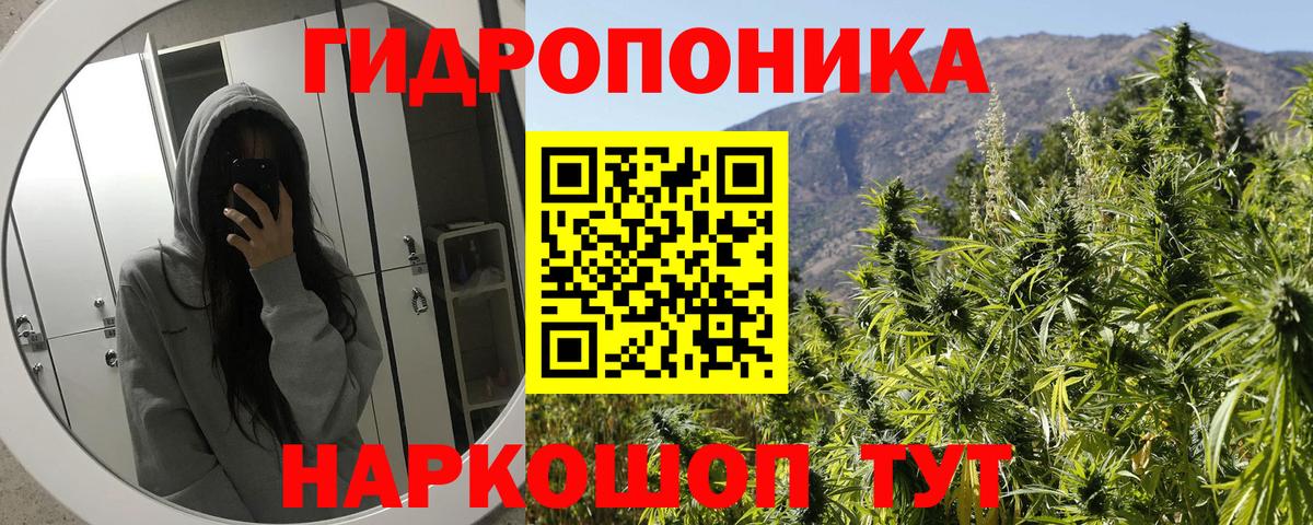 Марихуана конопля Анапа